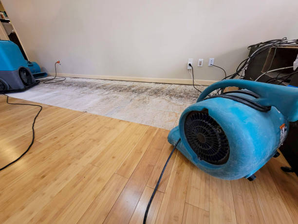 Professional Basement Flood Cleanup technician working in Hastings, PA